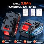 Electric Pruning Shears, Upgraded 2.1" Cutting Garden Shears with LCD Display, Brushless Motor Cordless Power Pruner with 2.0 Ah*2 Batteries for Garden Tree Pruner Branch