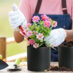 Meowell 8/7/6 inch Plant Pots, 3 Set Cylinder Flower Pots for Outdoor Indoor Plants, Decorative Plastic Planters with Drainage Holes and Saucers for Garden House Plants, Black