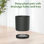 Meowell 8/7/6 inch Plant Pots, 3 Set Cylinder Flower Pots for Outdoor Indoor Plants, Decorative Plastic Planters with Drainage Holes and Saucers for Garden House Plants, Black