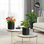 Meowell 8/7/6 inch Plant Pots, 3 Set Cylinder Flower Pots for Outdoor Indoor Plants, Decorative Plastic Planters with Drainage Holes and Saucers for Garden House Plants, Black