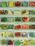 30 Packs of Non-GMO Heirloom Vegetable Seeds