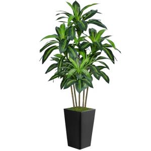 6FT Artificial Dracaena Tree, Fake Tree Indoor with Black Tall Planter,Tall Artificial Plants Indoor,Artificial Silk Tree for Home Office Decor (Black)