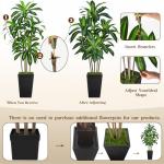 6FT Artificial Dracaena Tree, Fake Tree Indoor with Black Tall Planter,Tall Artificial Plants Indoor,Artificial Silk Tree for Home Office Decor (Black)