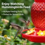 Fchstaer Glass Hummingbird Feeders for Outdoors Hanging Ant and Bee Proof 16OZ 2 Pack Red Pineapple Humming Bird Feeder with 6 Feeding Ports and Ant Moat Hummingbird Gifts for Women Garden Decor
