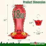 Birdream Glass Hummingbird Feeder for Outdoors, 18oz Hanging Hummingbird Feeder with 5 Feeding Ports & Built-in Ant Moat, for Garden Patio Backyard, Gifts for Women Mom, All Red