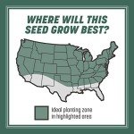 Kentucky 31 Tall Fescue Grass Seed 3 lbs