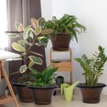 Quarut 12 Inch Pots for Plants,4 Pack Large Flower Pots with Drainage Hole & Saucer,Modern Planters for Indoor Outdoor Plants,Decorative Resin Garden Pots Brown