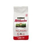 Pennington Rebels Tall Fescue Grass Seed 7 lb