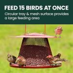Perky-Pet Durable Wild Bird Feeder - 2.5 lb Seed Capacity - Feed up to 15 Birds at Once - Red, C00322 - Hanging Wild Bird Feeder for Outdoor Decor