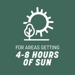 Kentucky 31 Tall Fescue Grass Seed 3 lbs