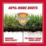 Pennington Rebels Tall Fescue Grass Seed 7 lb