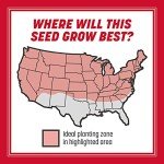 Pennington Rebels Tall Fescue Grass Seed 7 lb