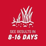 Pennington Rebels Tall Fescue Grass Seed 7 lb
