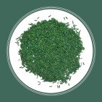 Kentucky 31 Tall Fescue Grass Seed 3 lbs