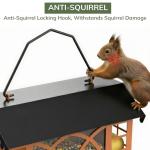 Bird Feeders for Outdoors Hanging, Metal Bird Feeder with Double Suet Cage Weatherproof Metal Roof, 3.5Lbs Large Capacity Great for Attracting Finch Cardinal Chickadee Wild Birds, Pinecone Brown