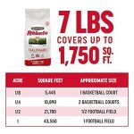 Pennington Rebels Tall Fescue Grass Seed 7 lb