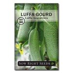 Luffa Gourd Seeds - Grow Your Own Loofah