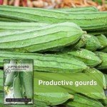 Luffa Gourd Seeds - Grow Your Own Loofah