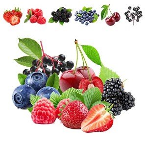 1100 Mixed Berry and Fruit Seeds for Planting