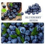 1100 Mixed Berry and Fruit Seeds for Planting
