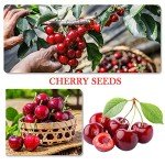 1100 Mixed Berry and Fruit Seeds for Planting