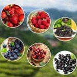 1100 Mixed Berry and Fruit Seeds for Planting