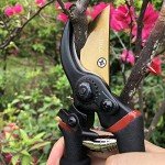 Premium Titanium Bypass Pruning Shears - 8