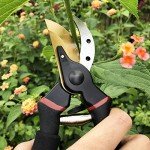 Premium Titanium Bypass Pruning Shears - 8