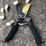 Premium Titanium Bypass Pruning Shears - 8