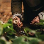 Fiskars Xact Ergonomic Heavy Duty Hand Rake