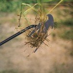 4-Tooth Portable Garden Weed Puller Tool