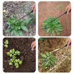 4-Tooth Portable Garden Weed Puller Tool