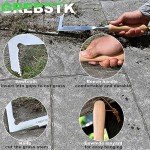 Stainless Steel Crack Weeder with Beech Handle