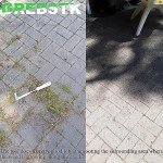 Stainless Steel Crack Weeder with Beech Handle