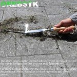 Stainless Steel Crack Weeder with Beech Handle