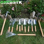 Stainless Steel Crack Weeder with Beech Handle