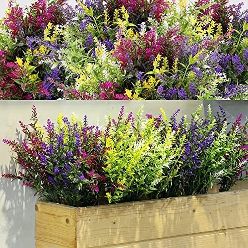 Outdoor Plants