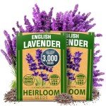Premium English Lavender Seeds - 3000 Non-GMO