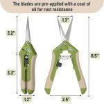 6.5" Green Stainless Steel Gardening Scissors