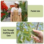 6.5" Green Stainless Steel Gardening Scissors