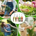 4 Pack Stainless Steel Garden Pruning Shears