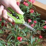 6.5" Green Stainless Steel Gardening Scissors