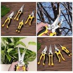 5-Pack Heavy Duty Garden Pruning Shears Set
