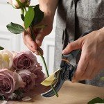 Heavy-Duty Ultra Sharp Bypass Pruning Shears