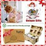 Turtle Solar Garden Statue with Succulent and Lights