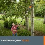 Worx 10" Electric Pole Saw with 8 Amp Power