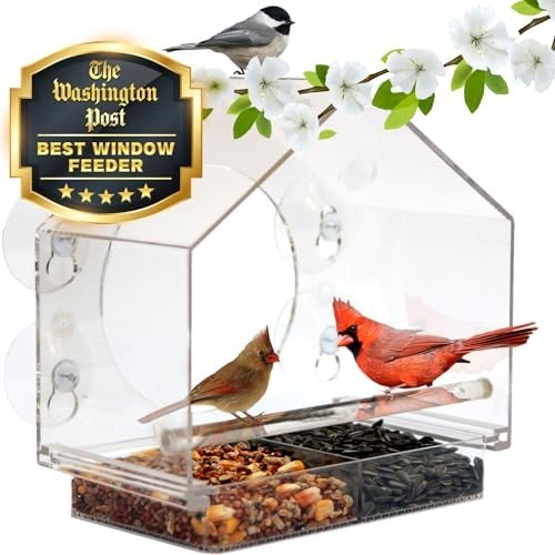 Bird Feeders