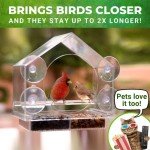 Transparent Acrylic Window Bird Feeder with Strong Suction