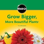 Miracle-Gro All Purpose Plant Food, 3 lbs