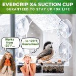 Transparent Acrylic Window Bird Feeder with Strong Suction